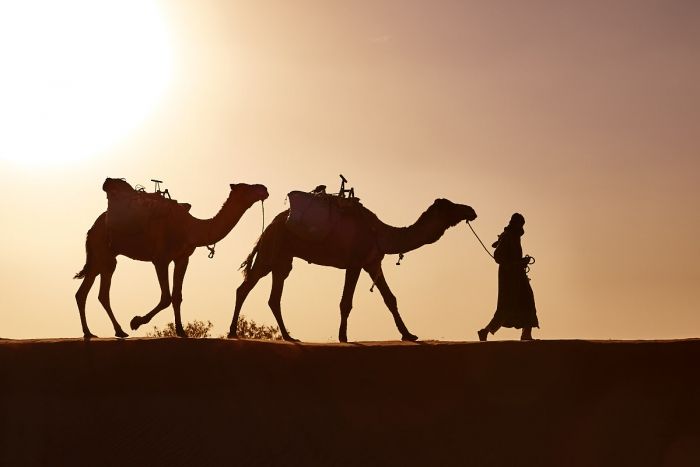 La caravane du désert